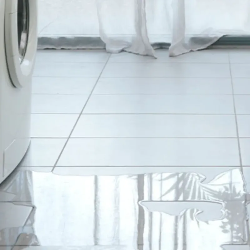Appliance Leak Cleanup in Rossmoyne, OH