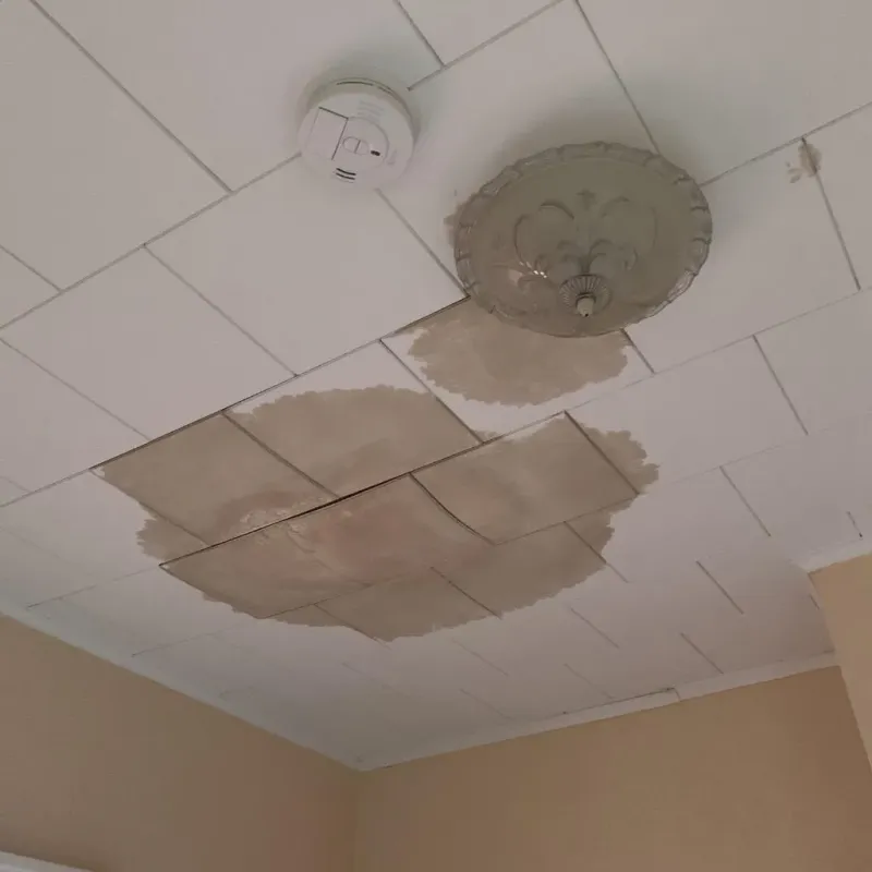 Ceiling Water Damage Repair in Rossmoyne, OH