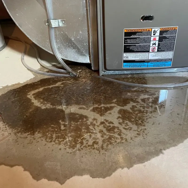 Pipe Burst and Leak Restoration in Rossmoyne, OH